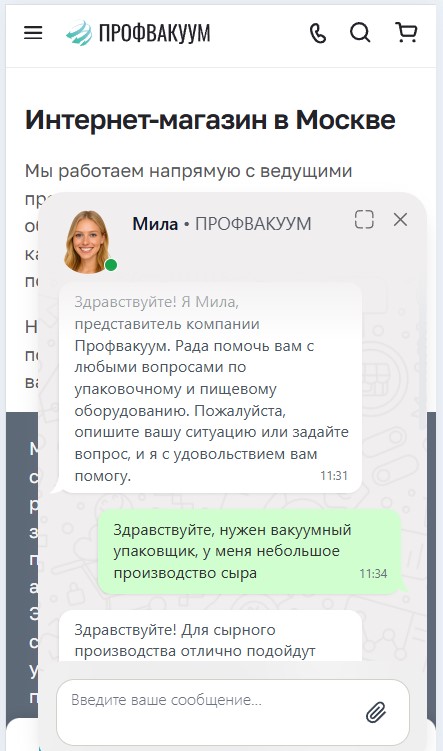ИИ-продавец общается с покупателем